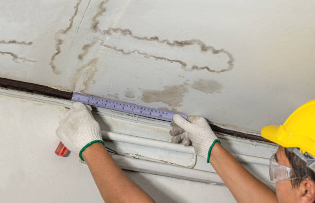 Reliable Water Damage Restoration contractor in Evergreen, CO by Water Damage Irwin